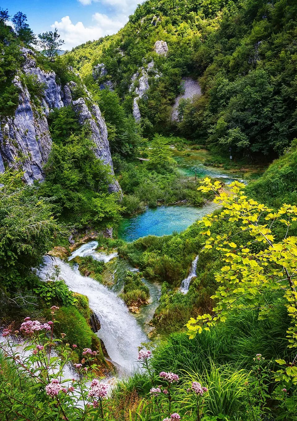 Slapovi i tirkizna voda među zelenilom Plitvičkih jezera