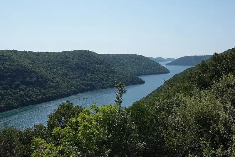 Pogled na Limski zaljev i šumovite obale