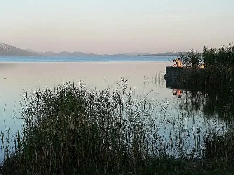 Vransko jezero i trska uz obalu