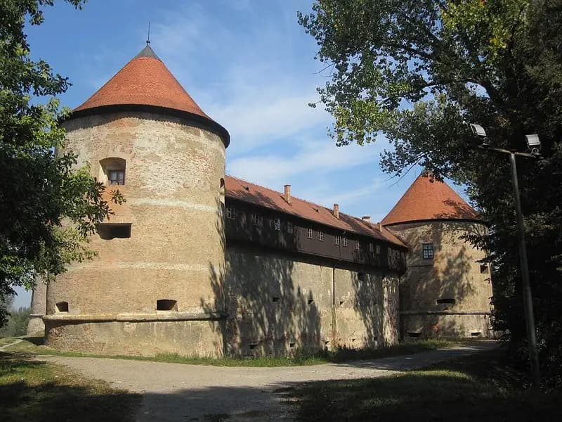 Kula i zidine Staroga grada Siska